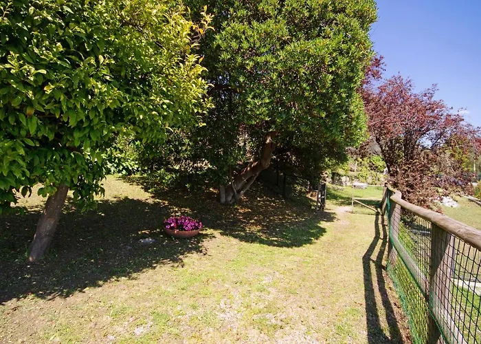 Monolocale Fattorialmare Viola Lägenhet Camogli